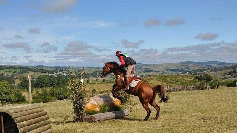 Ferme Équestre des Monts d' AUBRAC
