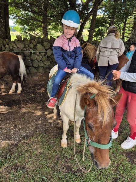 Ferme Équestre des Monts d' AUBRAC - photo 2