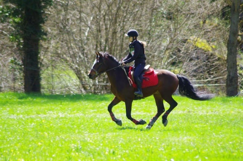 Ferme Équestre des Monts d' AUBRAC - photo 3