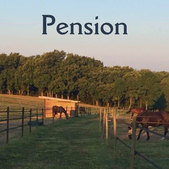 Les Écuries de caussanel - photo 1