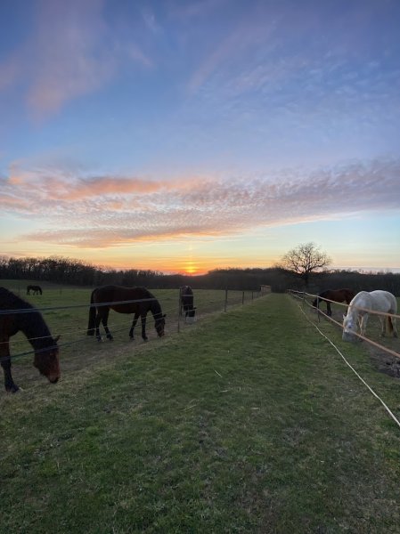 Les Écuries de caussanel - photo 2