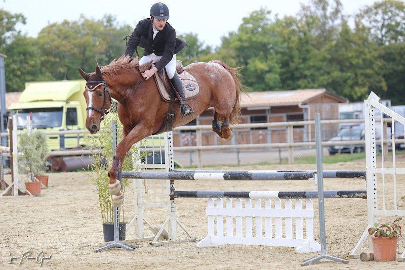 Les Écuries de caussanel - photo 3