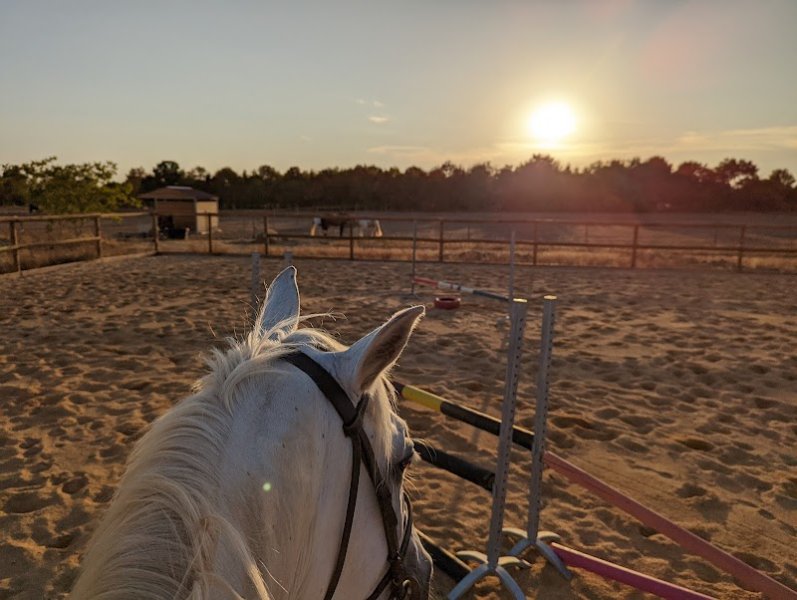 Élevage & Écurie de beloye - photo 2