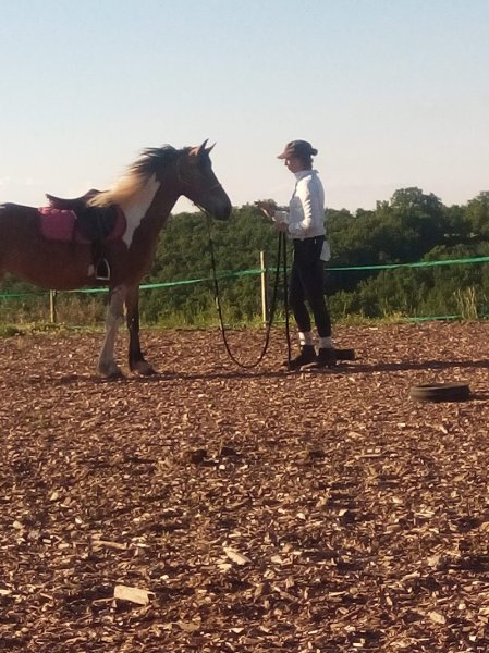 Ma P'tite écurie - photo 2