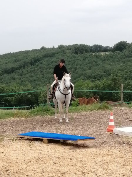 Ma P'tite écurie - photo 3