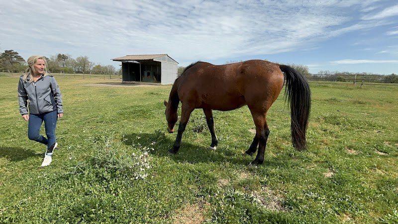 Ecuries de la Bancalié - photo 1