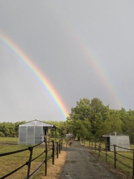 Ecuries de la Bancalié - photo 2