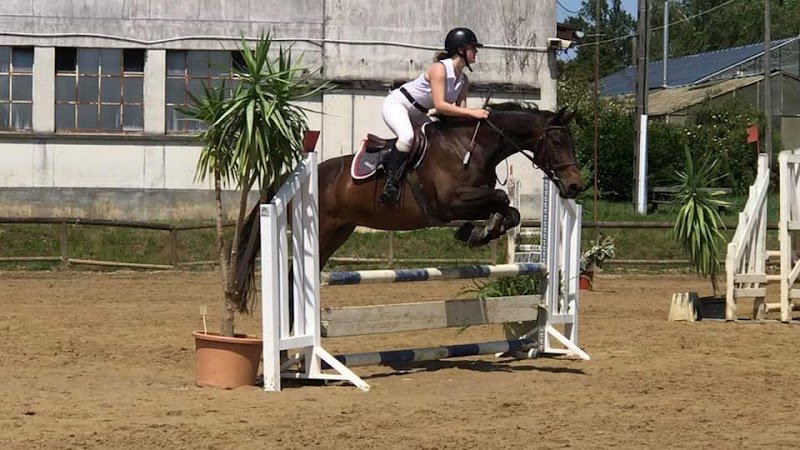 ecurie du monteil - photo 1