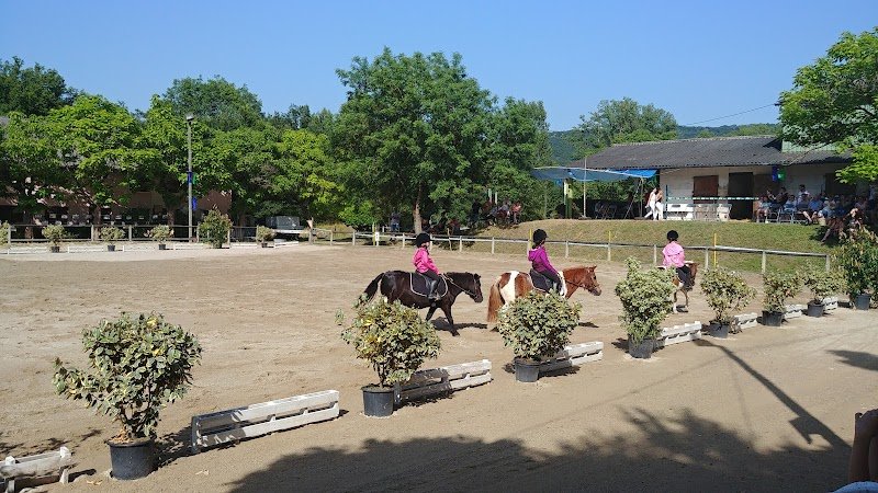 Centre Equestre poney club de Monteils villefranche