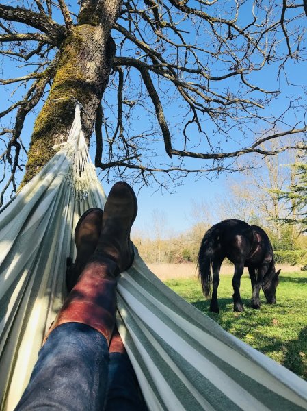 Ranch du Roc, maisons de vacances, gîte équestre et pension équine. - photo 1