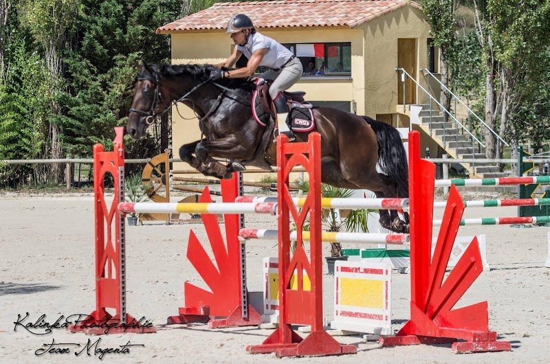 Les Écuries du Parc - photo 1