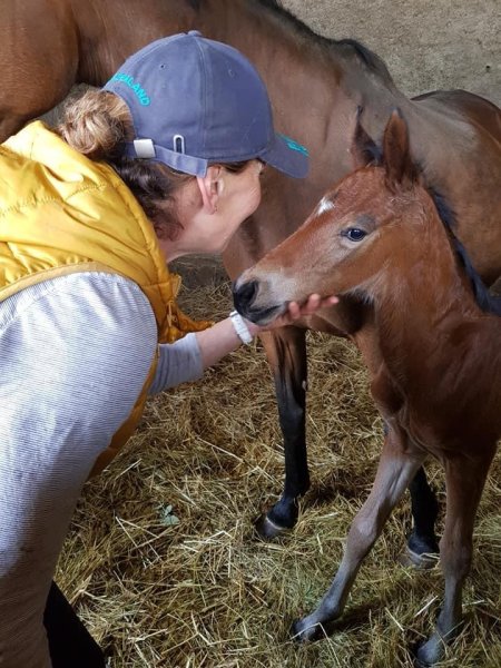 Les Écuries du Parc - photo 2