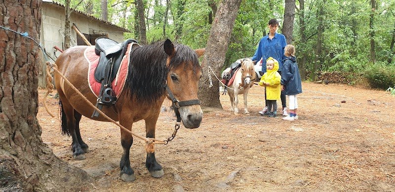 A Cheval en Cevennes - photo 2