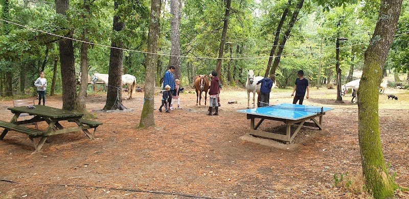 A Cheval en Cevennes - photo 3