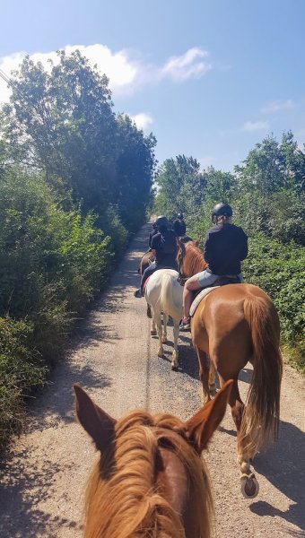 Ecurie des Grands Causses - photo 2