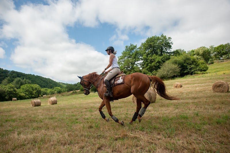 les Ecuries De Bannés - photo 1