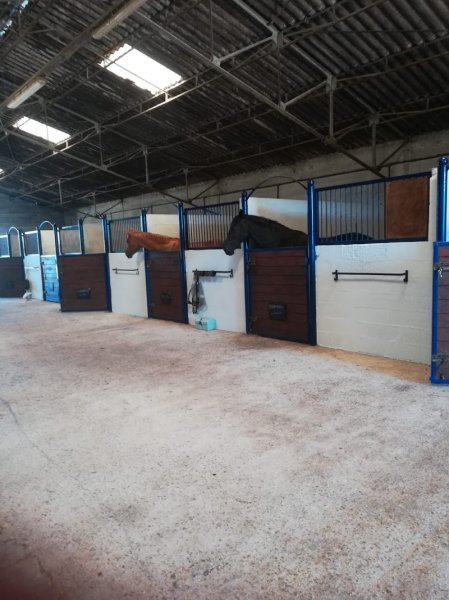 Écurie de la Cour - Centre équestre Poitiers // Dienné - photo 3