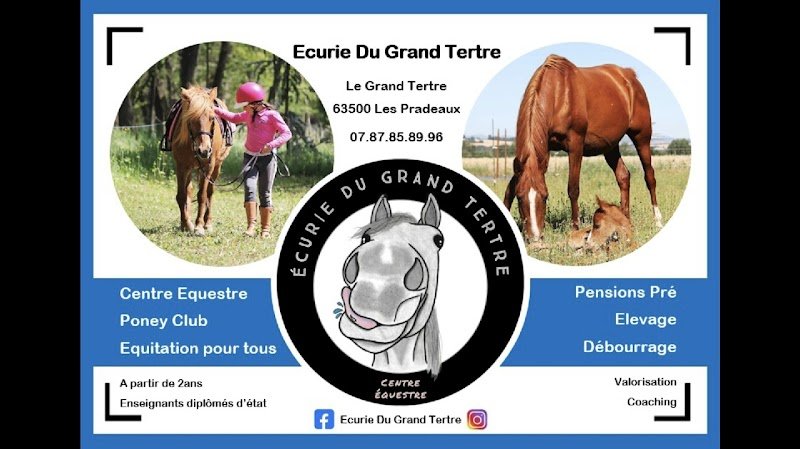 Écurie Du Grand Tertre - photo 1