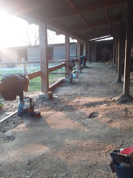 Écurie de lavalette - photo 2