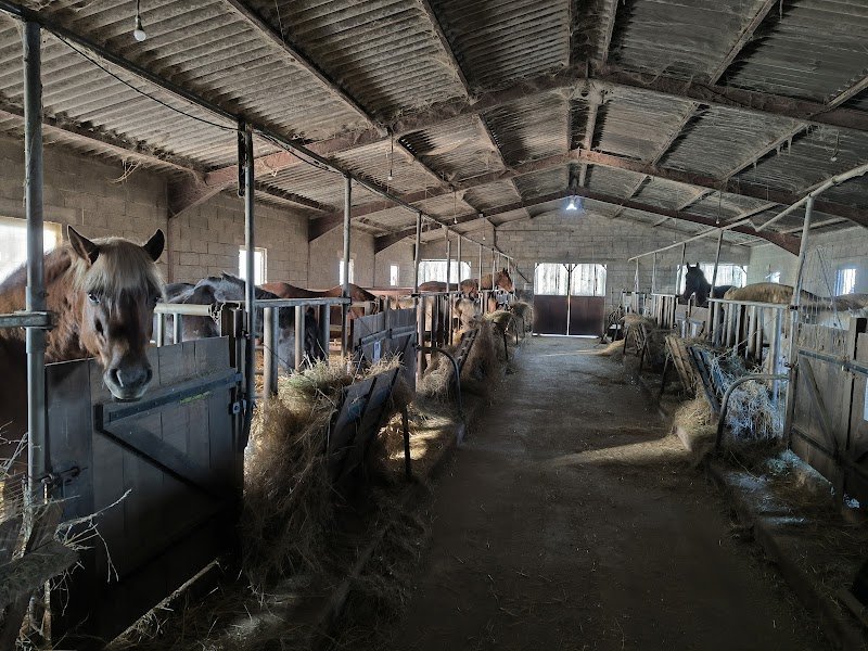 les écuries de l'Arche - photo 3