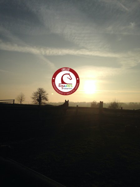 Écurie l'Arche de NOËL - photo 1