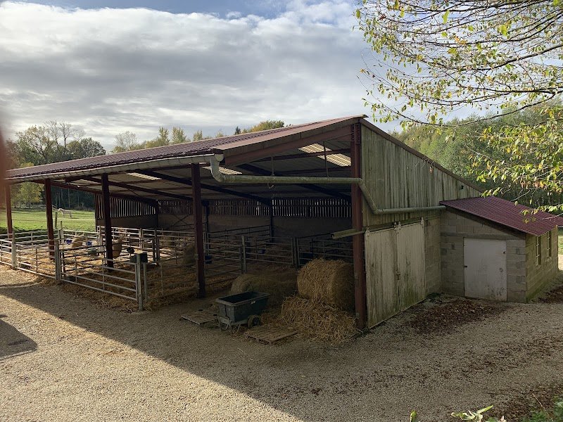 Écurie l'Arche de NOËL - photo 3