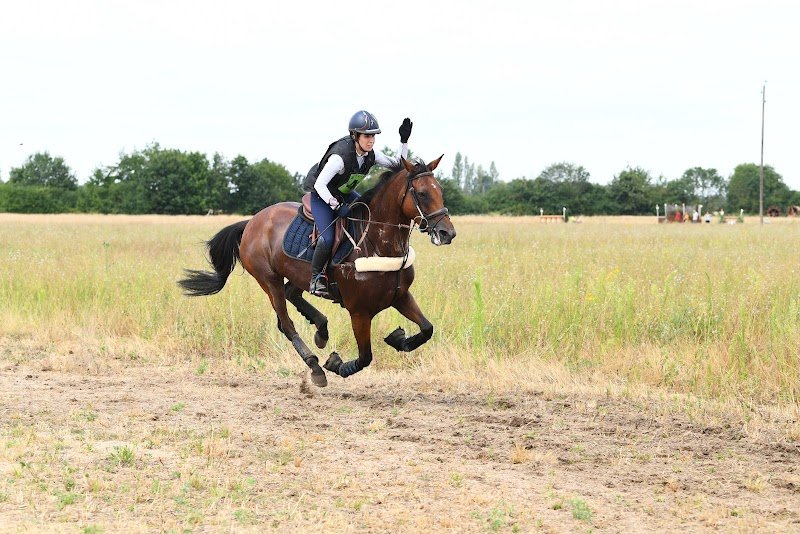 ECURIE SALICIO - photo 1