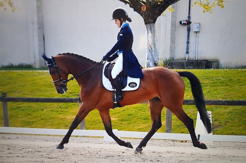 ECURIE SALICIO - photo 2