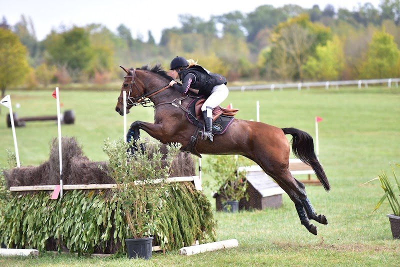 ECURIE SALICIO - photo 3