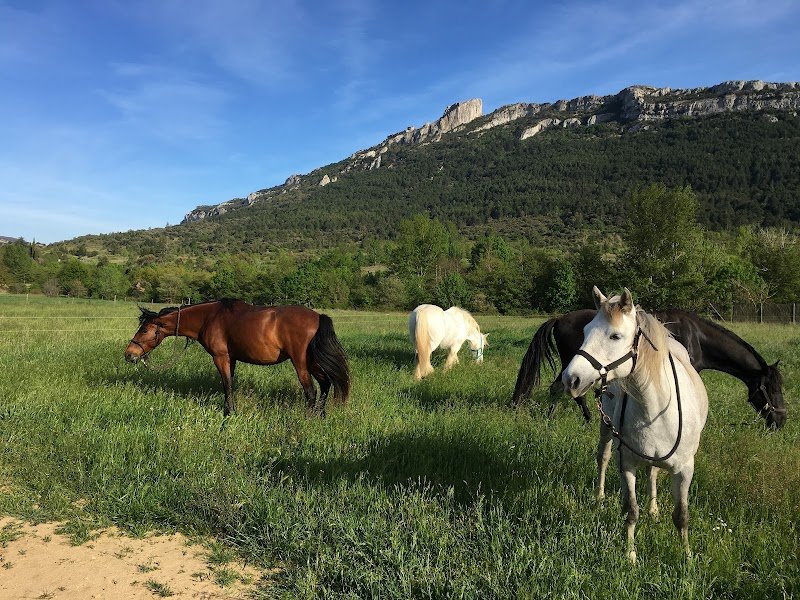La ferme équestre de Rouffiac-des-Corbières - photo 2