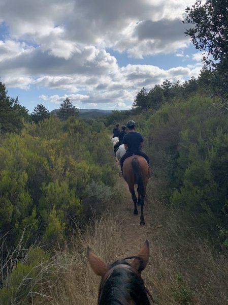 La ferme équestre de Rouffiac-des-Corbières - photo 3