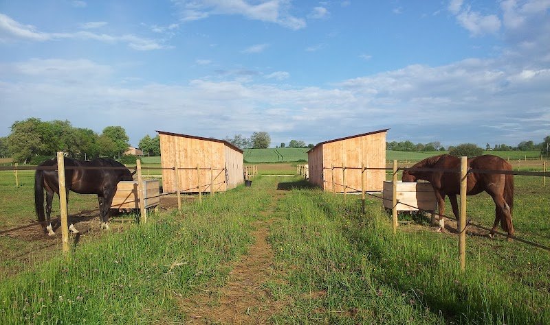 Écuries du Barrail - photo 1