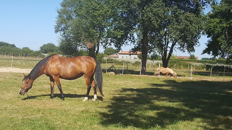 Écuries du Barrail - photo 2