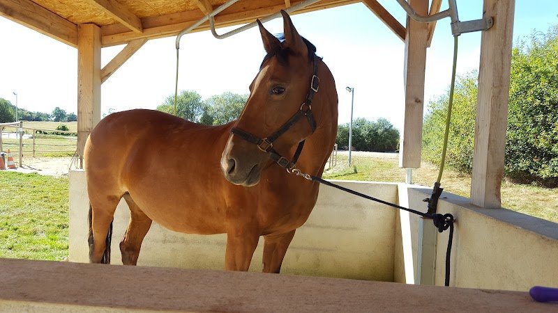 Écuries du Barrail - photo 3