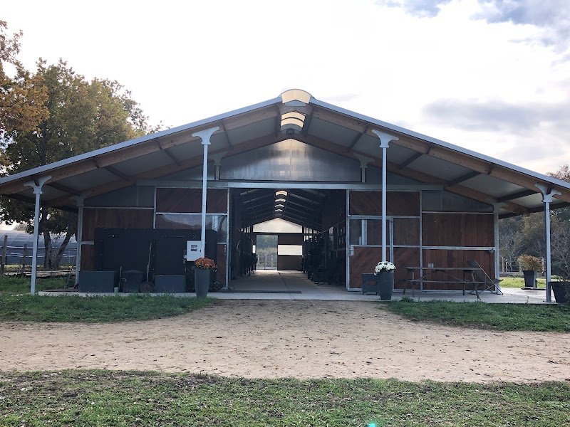 Ecuries de Pramadel & Elevage SCF - photo 1