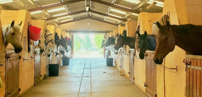 Les Ecuries de Garidech - photo 2