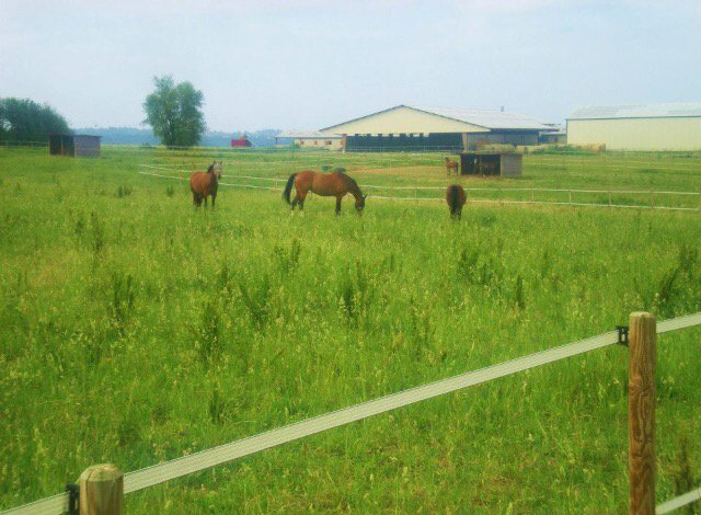 Les Ecuries de Garidech - photo 3