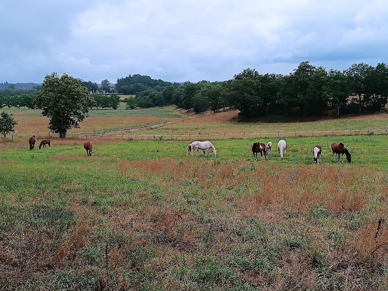 Ecurie De Peyrelevade - photo 1