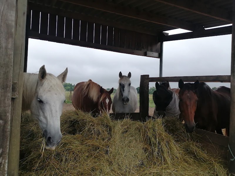 Ecuries de la Tauge - photo 2