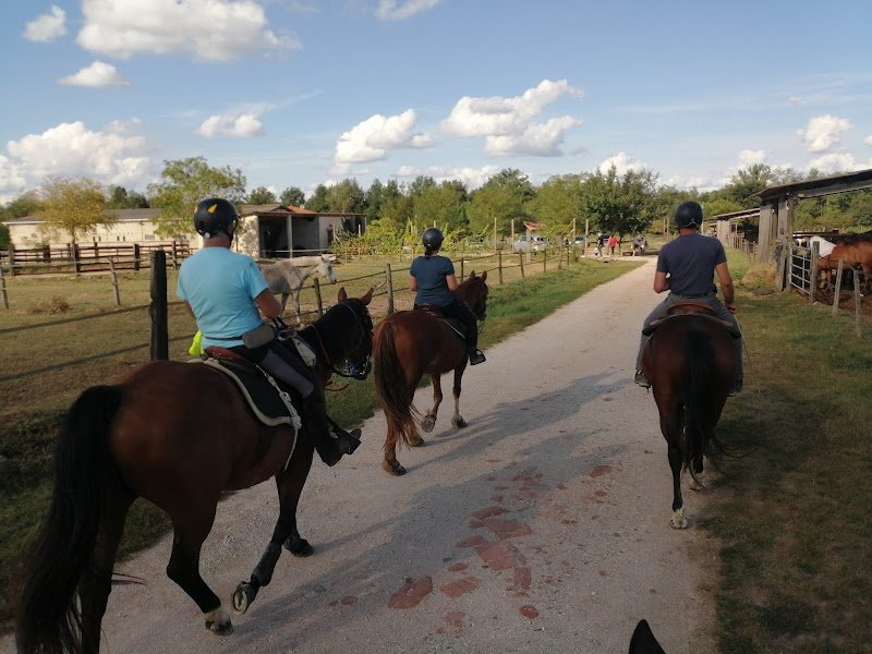 Ecuries de la Tauge - photo 3