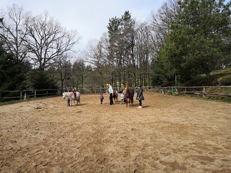 La ferme équestre de Tréphy - éthologie & équitation western - photo 3
