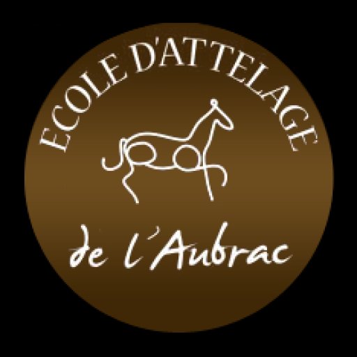 Ecole Attelage Aubrac | Stage et cheval race Auvergne de Nicolas Perrain - photo 2
