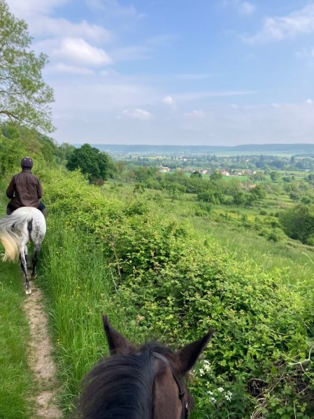 Les Ecuries de St Pierre - photo 3