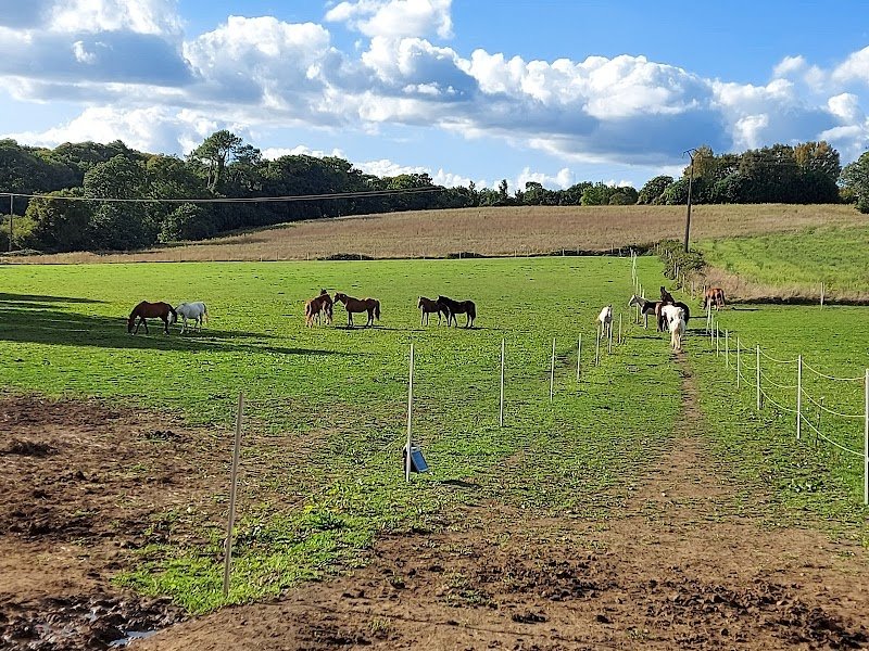 Ecuries Saint-Pierre - photo 2