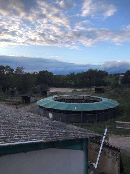 Ecurie Saint Pierre - photo 3