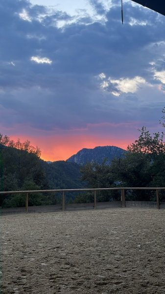 Les Écuries Saint Pierre - photo 1