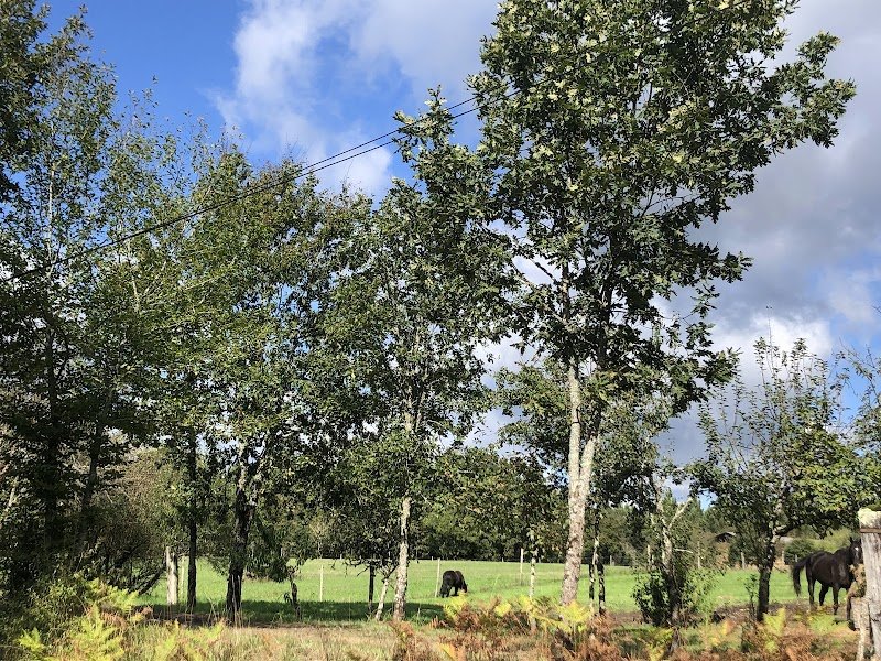 Les Écuries d'An-So - photo 3