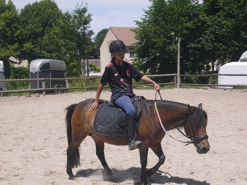 Ecurie Saint Pierre du Perray - photo 1