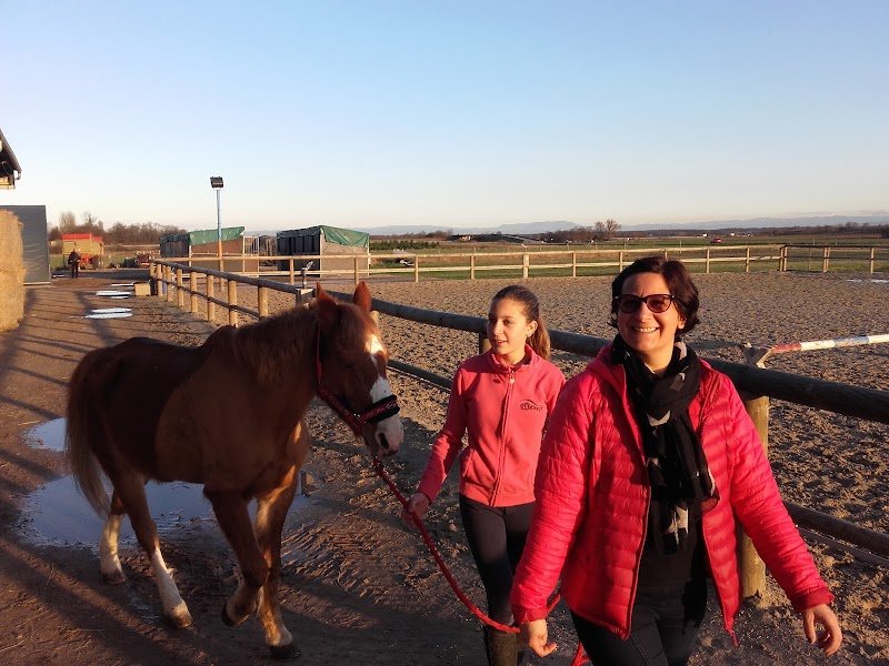 DOMAINE DU HARAS DE SAINT-PIERRE - photo 2