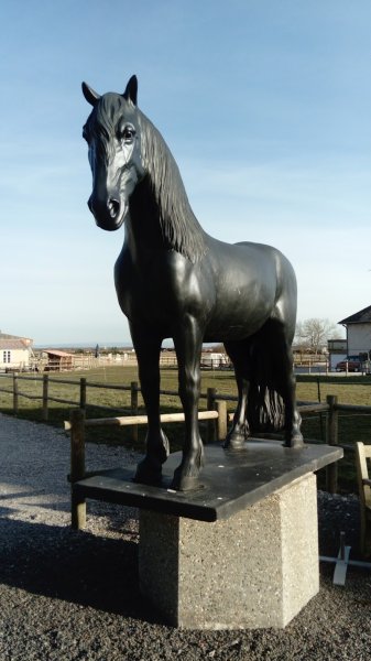 DOMAINE DU HARAS DE SAINT-PIERRE - photo 3